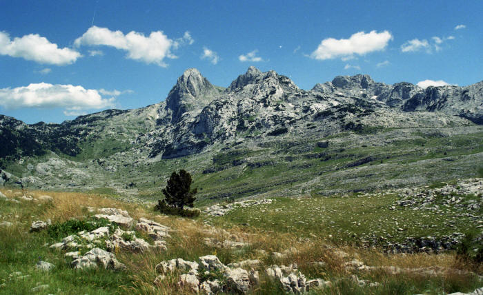 Prenj HPD Prenj 1933 Mostar Prenj HPD Prenj 1933 Mostar